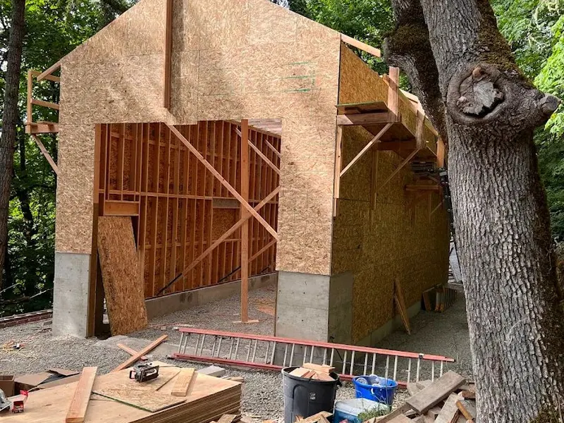 OSB sheathed garage frame rising next to a large oak tree on a residential lot during a Red Umbrella garage build near Eugene, Oregon.
